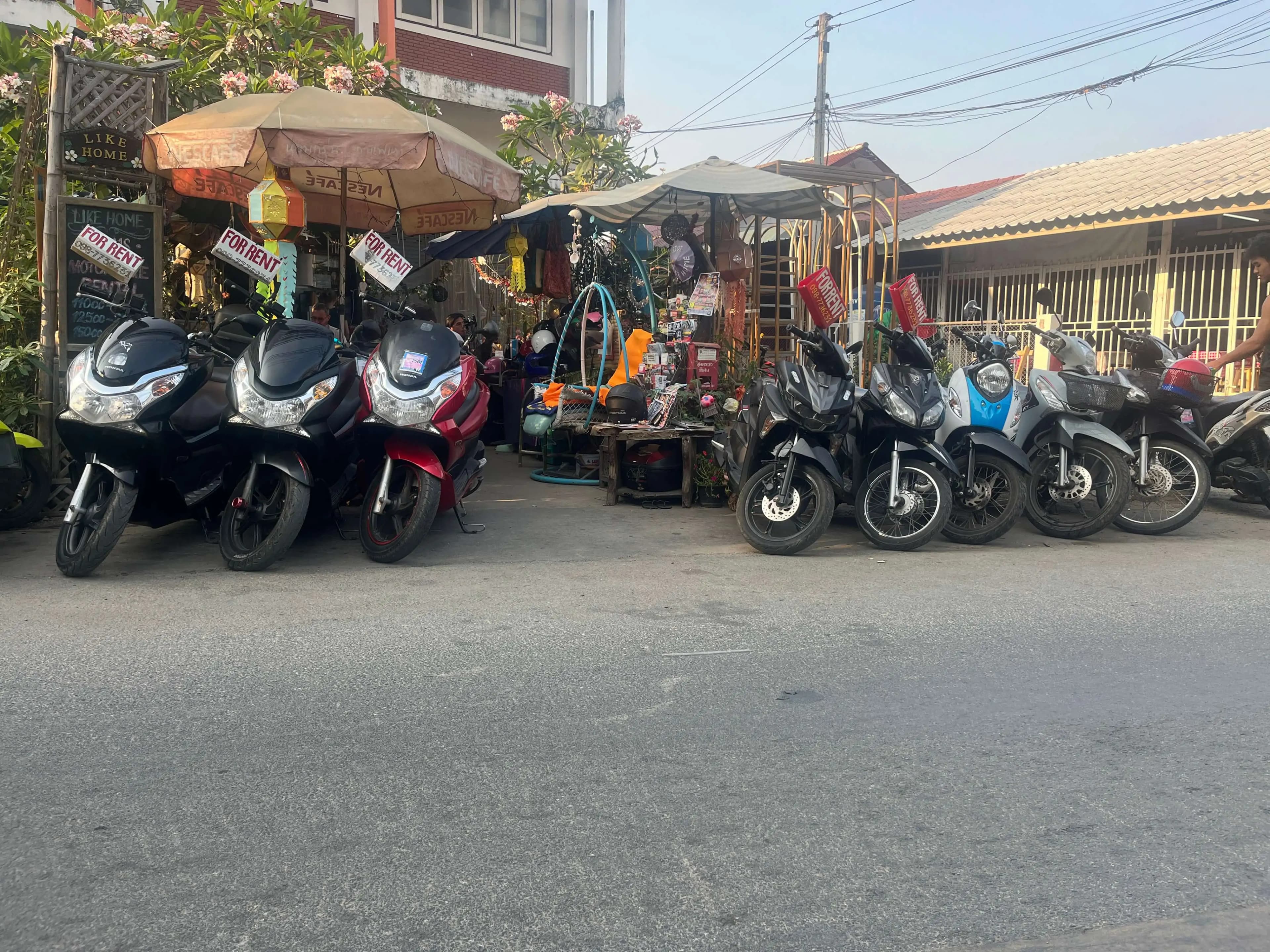 Owner's scooters showcase
