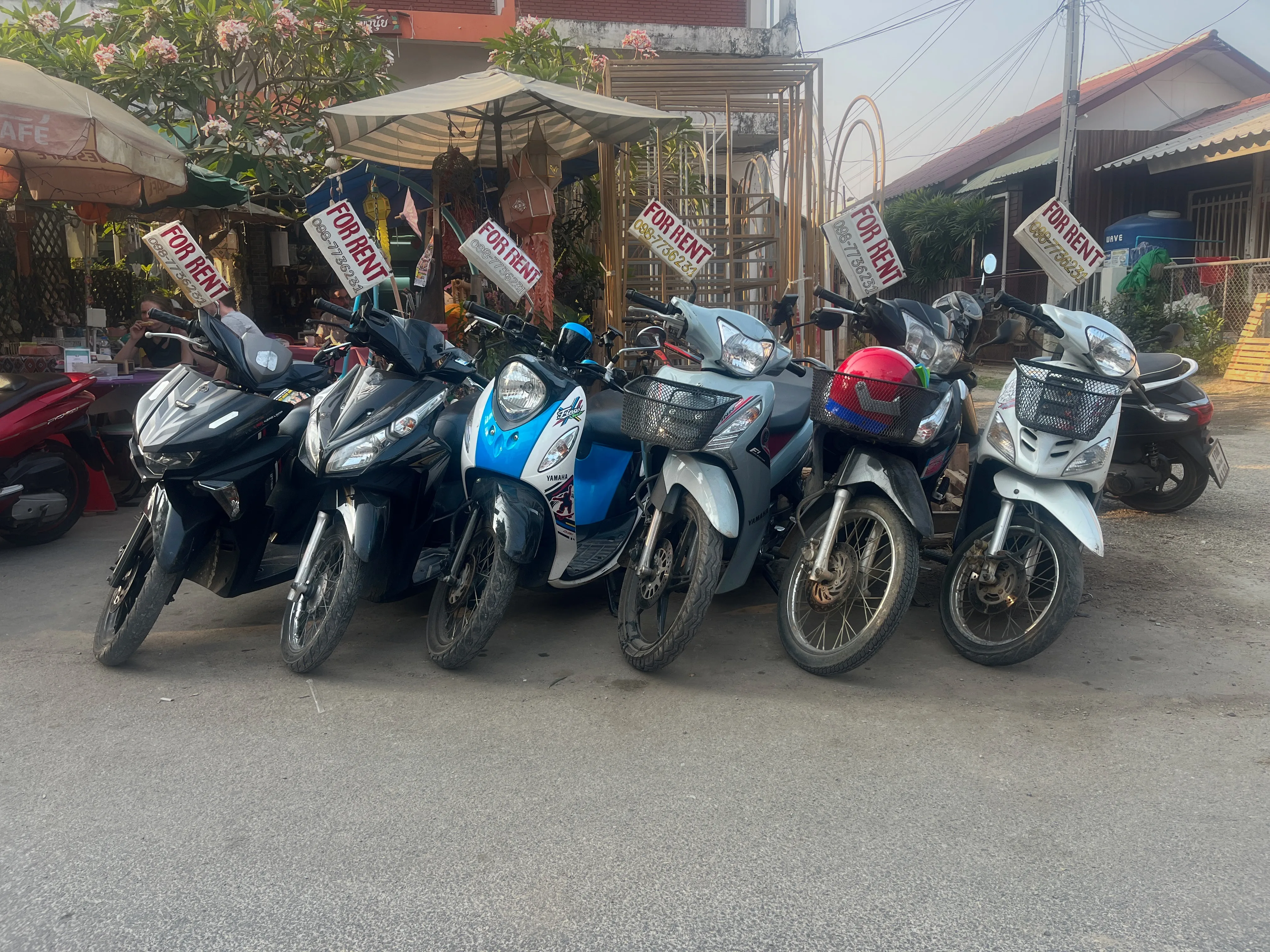 Scooter Rental